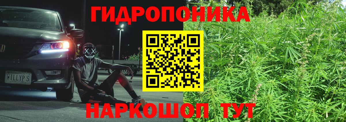 Бошки Шишки ГИДРОПОН  Шишки марихуана тримм  МАРИХУАНА Amnesia  Киржач  Вход с VPN 
